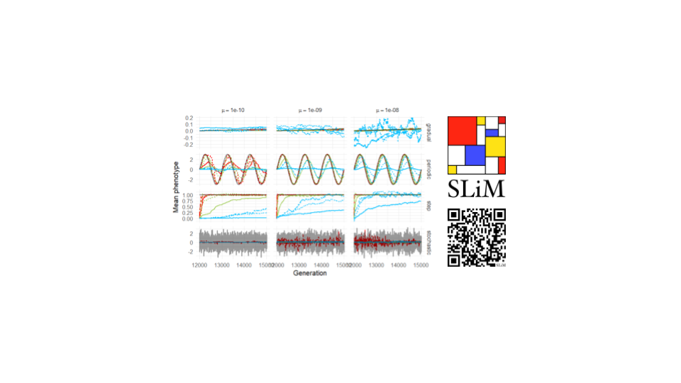 Analysis of Population Responses to Different Patterns of Environmental Change